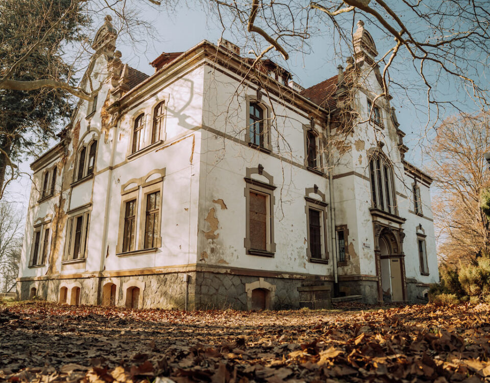widok na pałac w targoszynie z parku