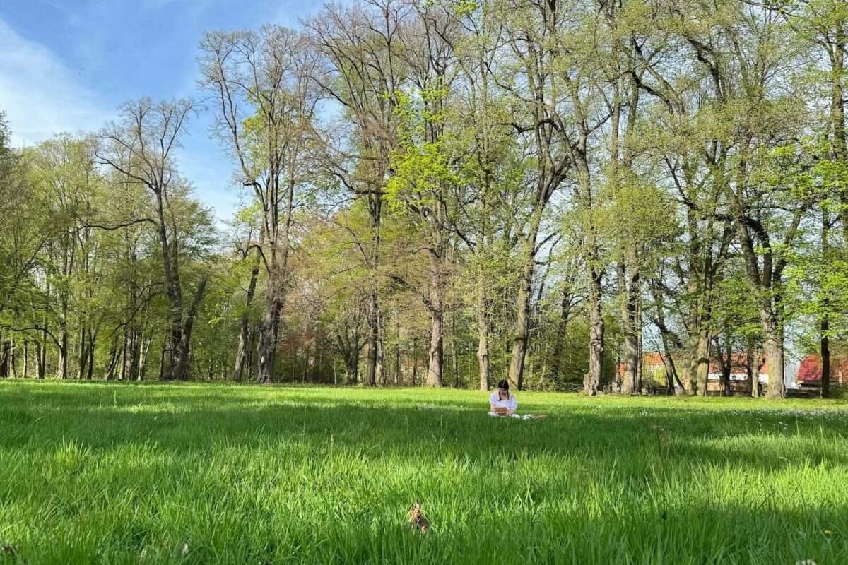 park i łąka w Targoszynie zielona psychologia